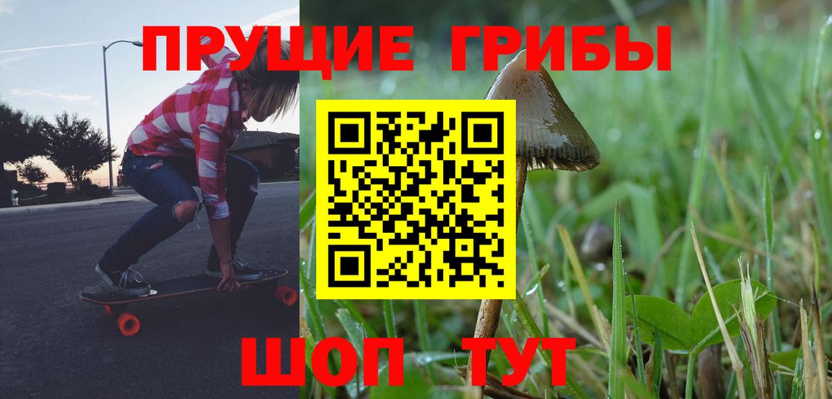 Алатырь  Галлюциногенные грибы Psilocybe  Вход с VPN 